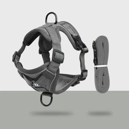 Pechera ajustable para perros pequeños de malla reflectante