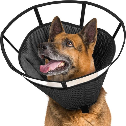 Cono isabelino #C20 para perros