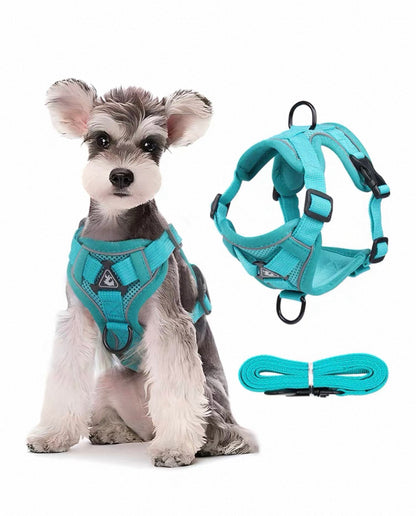 Pechera ajustable para perros pequeños de malla reflectante