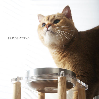 Comedero elevado de vidrio doble