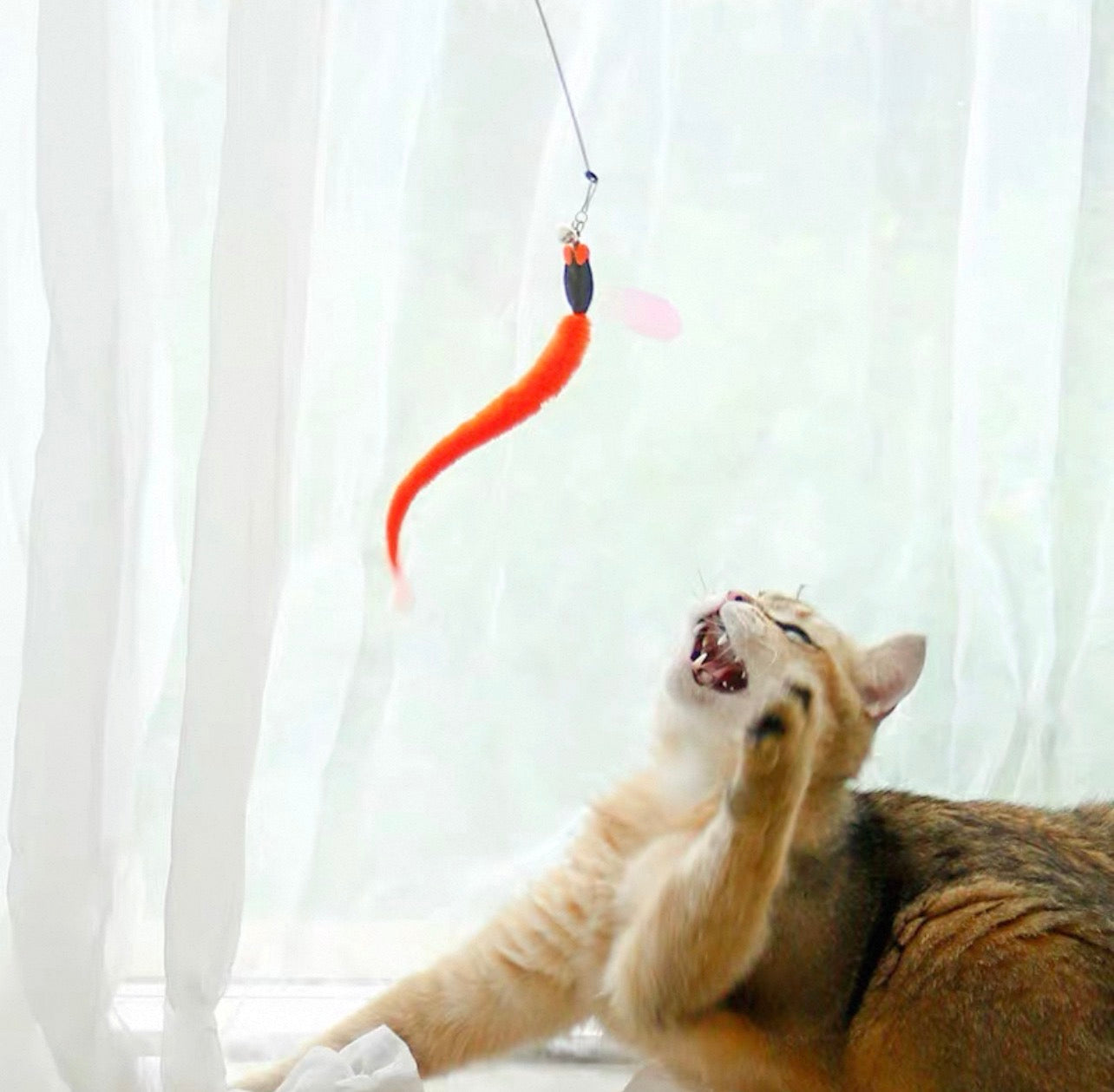 Cañita para gatos modelo libélula