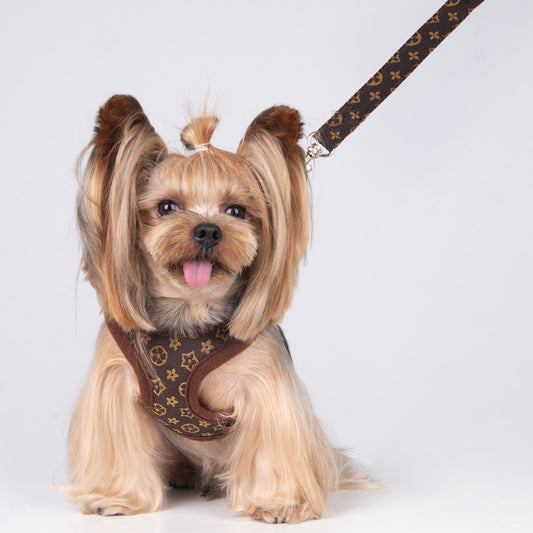 Pechera elegante para mascotas raza pequeña