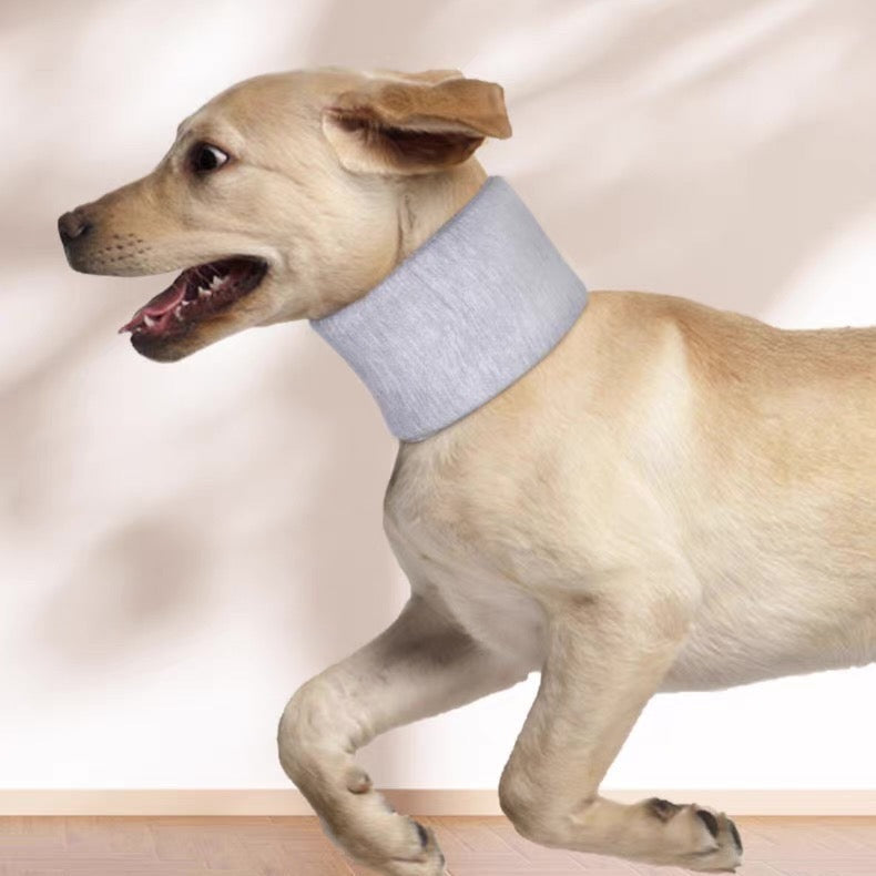 Cono inmovilizador para mascotas