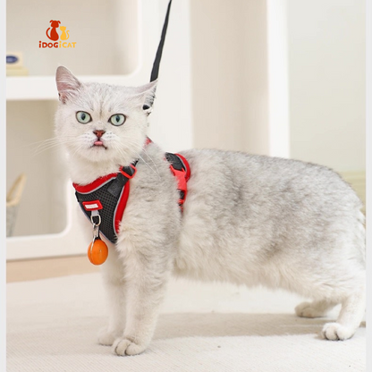 Pechera anti escape reflectiva para gatos