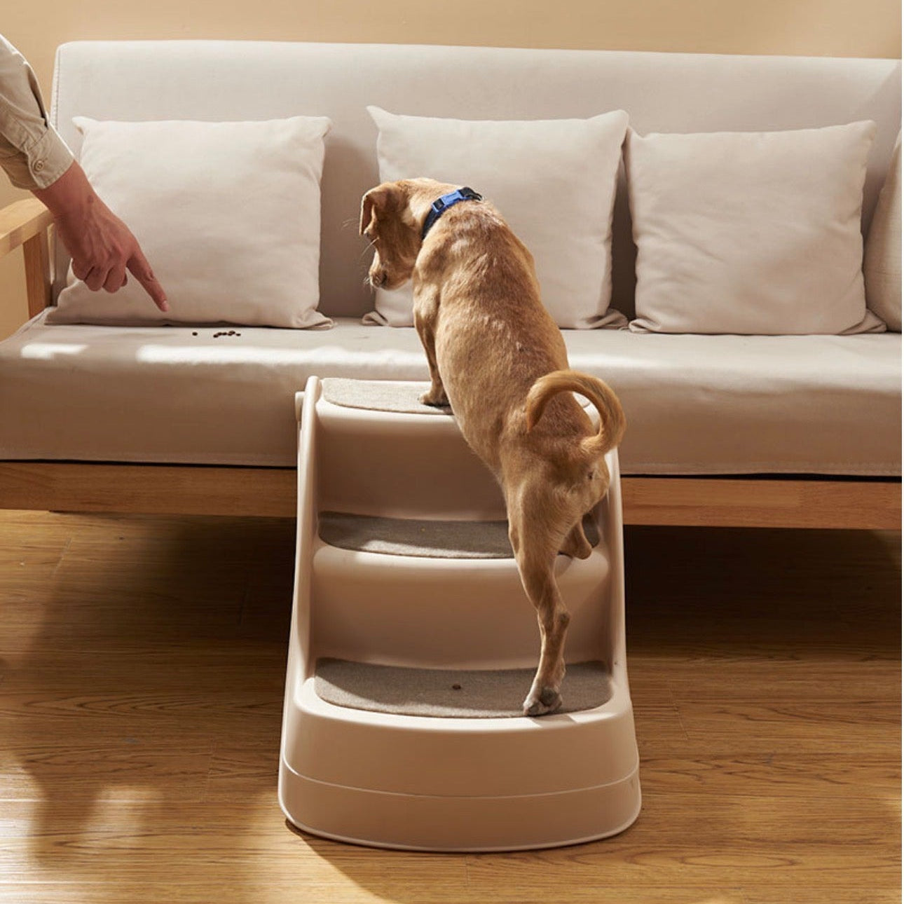 Escalera de plástico plegable para Mascotas