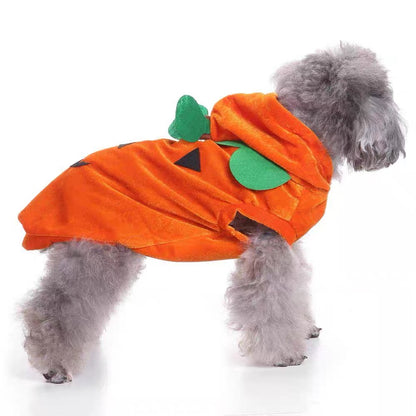 Disfraz de calabaza para mascotas modelo SDZ24