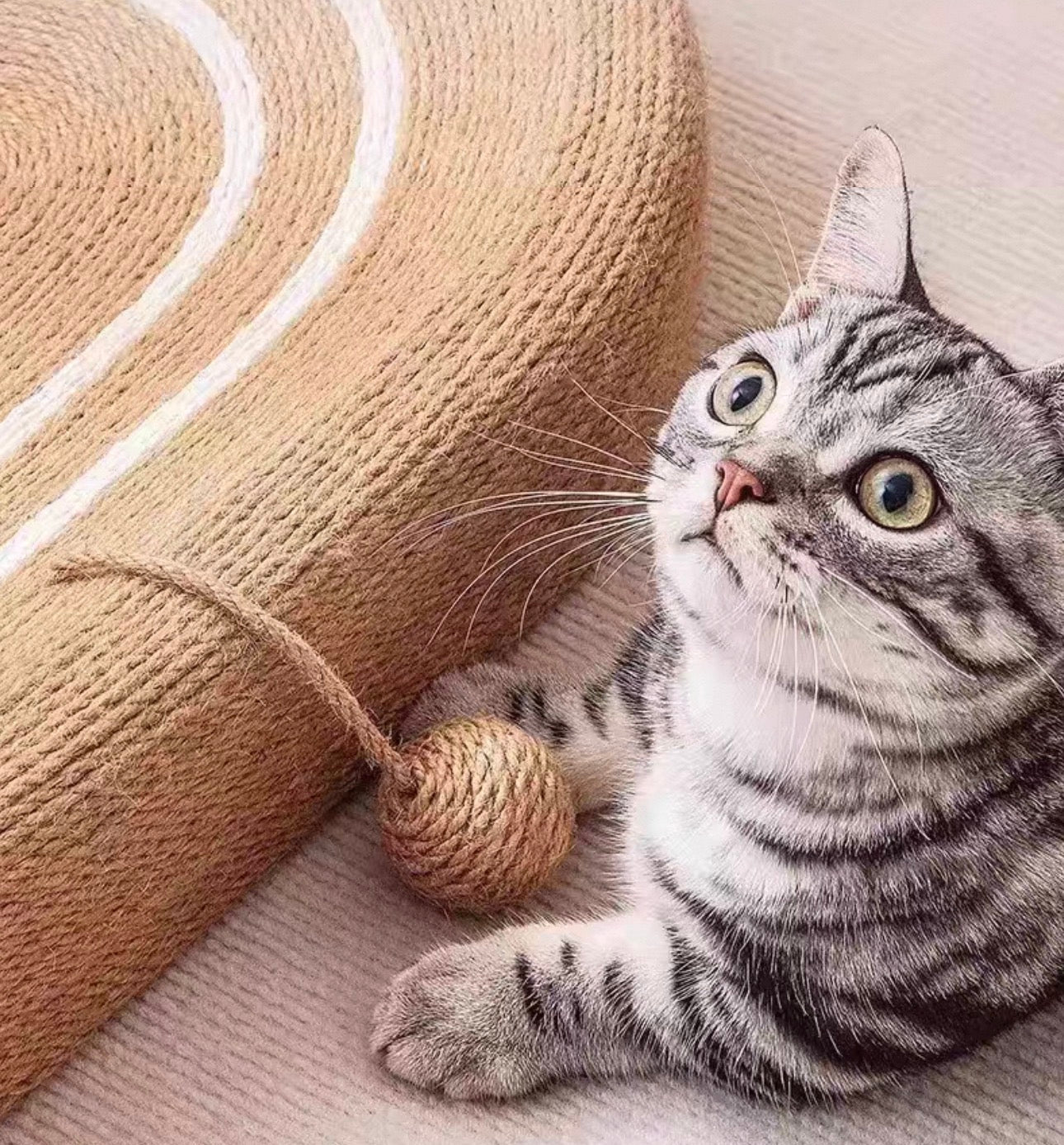 Rascador de cuerda ovalado modelo 1134 para gatos