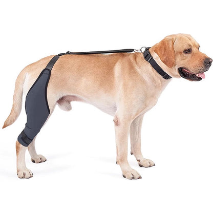 Soporte de pierna trasera para perros
