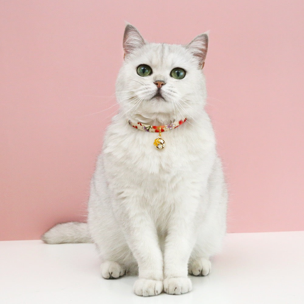 Collar para gatos con estampado