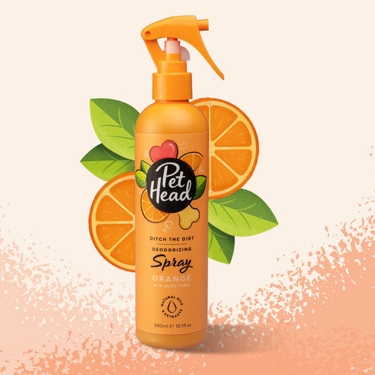 Shampoo en seco Pet Head: Spray Orange DIrty para Perro 300 ml