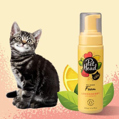 Shampoo en Seco Pet Head: Espuma sin aclarado para gatos Felin' Good 200 ml