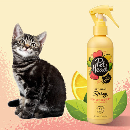 Shampoo en Seco Pet Head: Spray de lavado en seco para gatos Felin' Good 300 ml