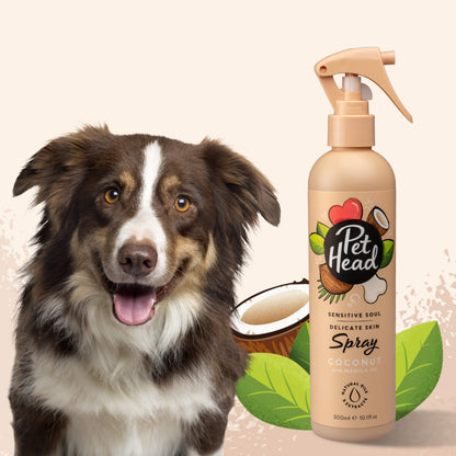 Shampoo en Seco Pet Head: Spray Piel Sensible Sensitive Soul de Coco para perro 300 ml