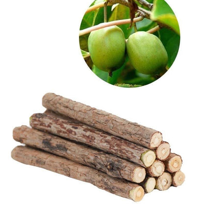 Palito de MATATABI para gatos (4 tamaños, 5pcs)