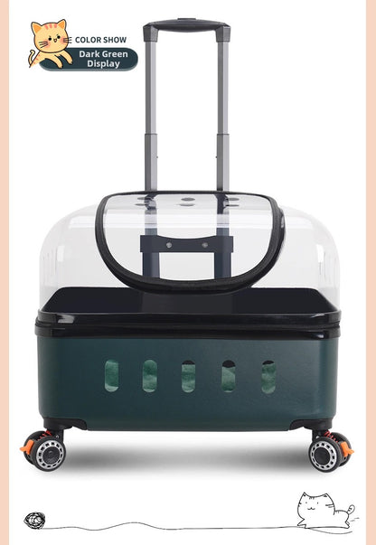 Maleta de ruedas transparente MR10