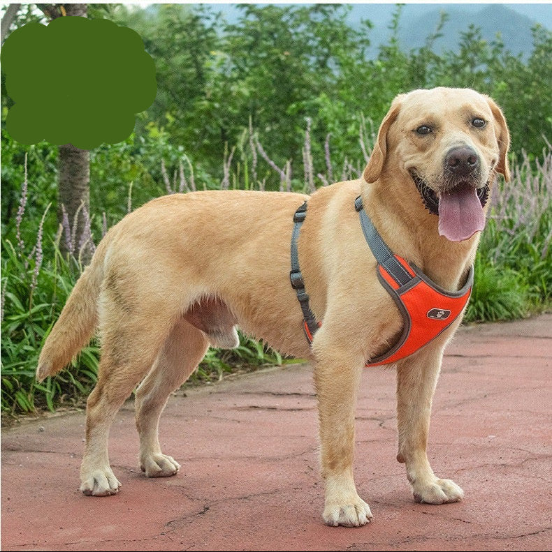 Pechera para perros grandes modelo 425