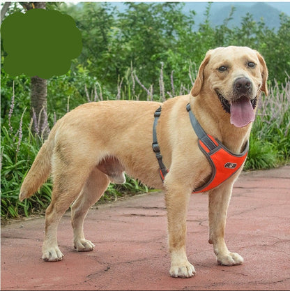 Pechera para perros grandes modelo 425