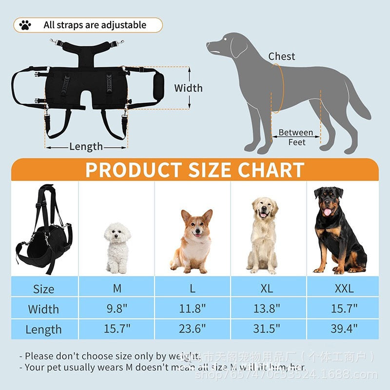 Soporte para perros ancianos de raza grande (Modelo 003)
