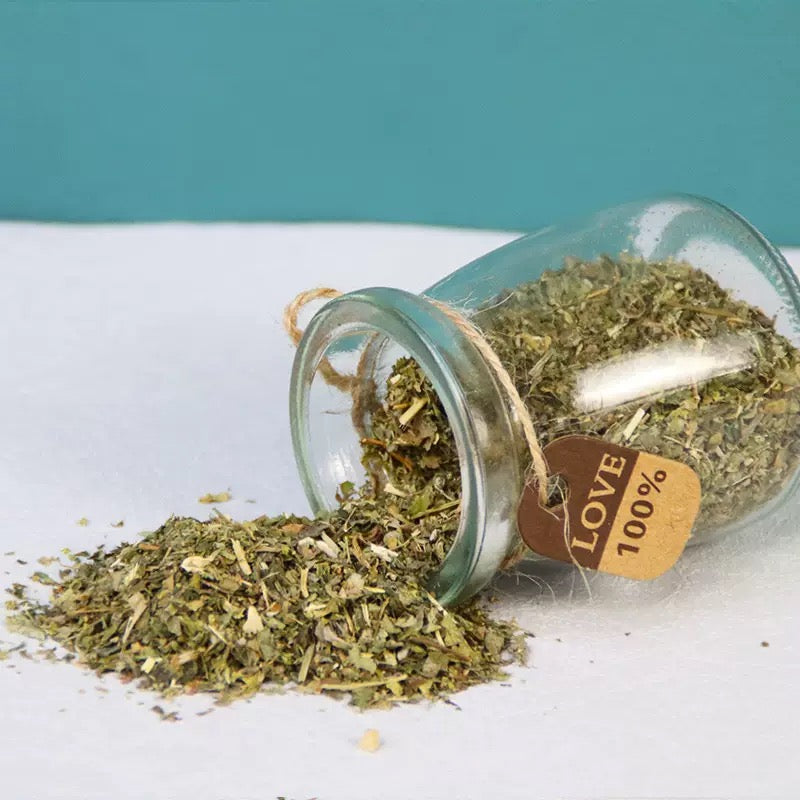 Catnip en polvo para gatos 40g 1un