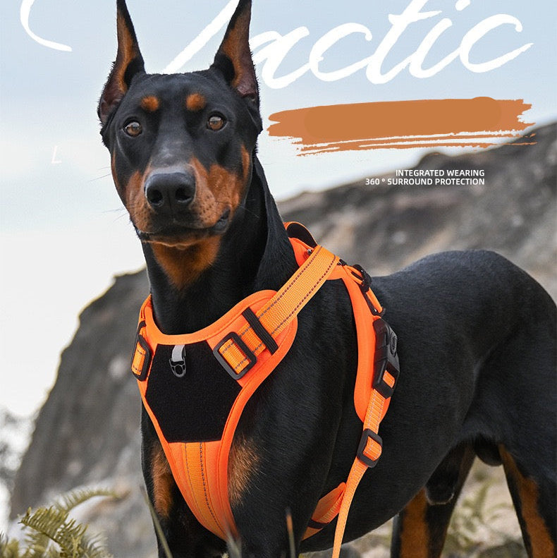 Pechera para perros de raza grande modelo 400