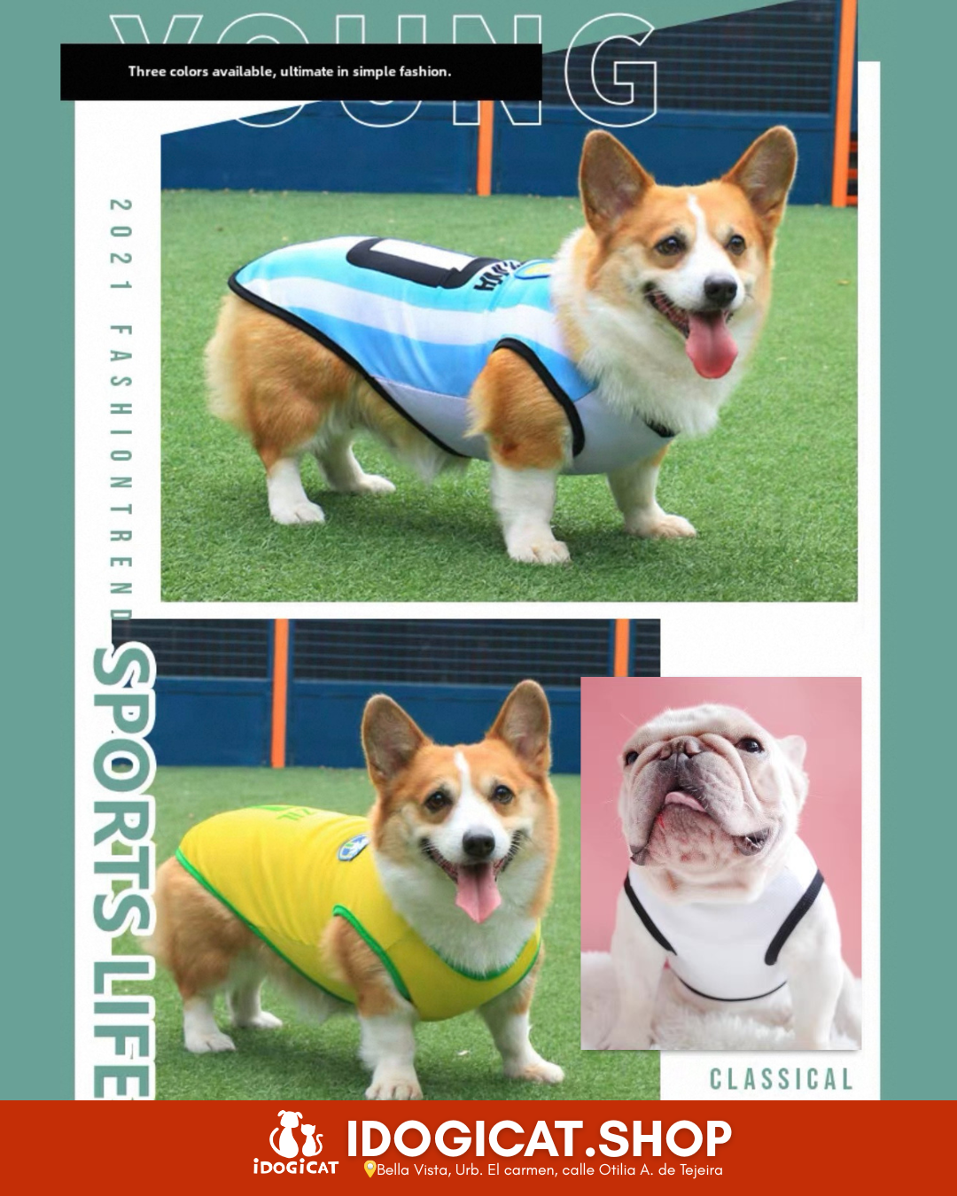 Camiseta del mundial para mascotas (5 equipos)