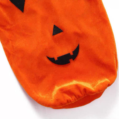 Disfraz de calabaza para mascotas modelo SDZ24
