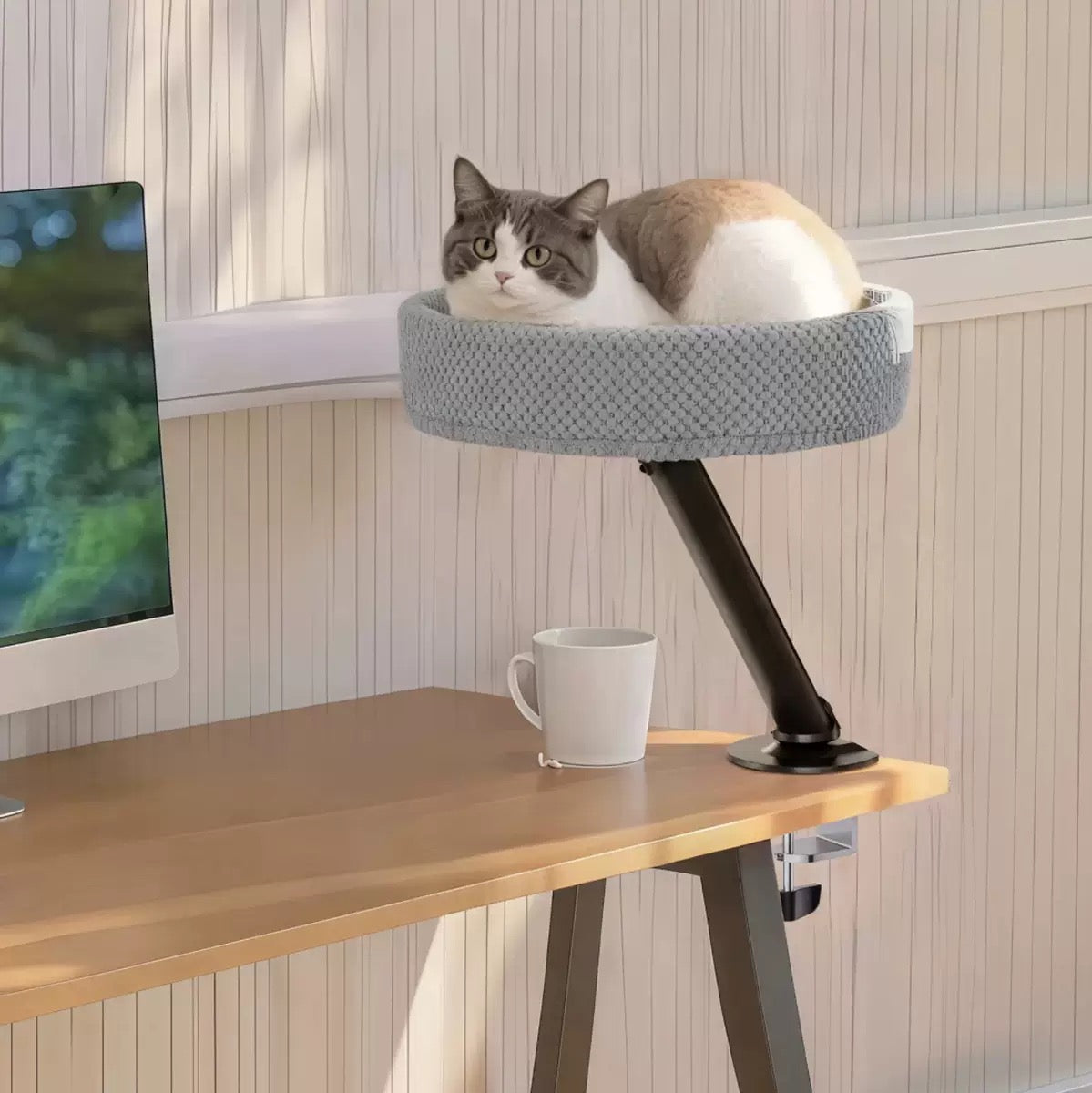 Cama de escritorio para gatos (360) Hasta 44lbs
