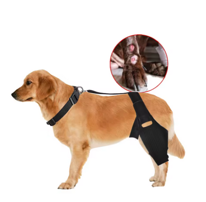 Arnés de soporte con collar para patas traseras