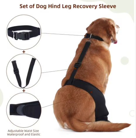 Arnés de soporte con collar para patas traseras