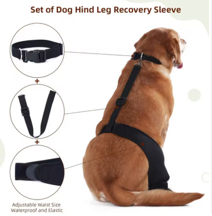 Arnés de soporte con collar para patas traseras
