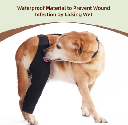 Arnés de soporte con collar para patas traseras