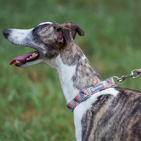 Collar reflectante con diseños para perros medianos y grandes