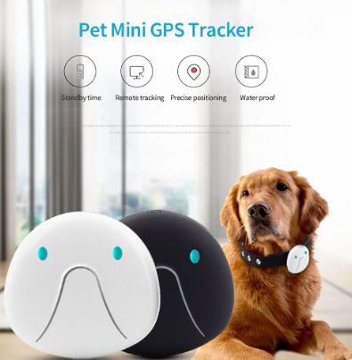 Rastreador GPS para mascotas