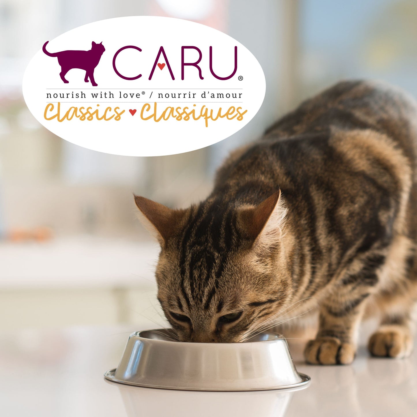 Snacks para Gato Caru: Guiso de pollo Caru Classics Grain Free con Omega 3 y 6 156gr