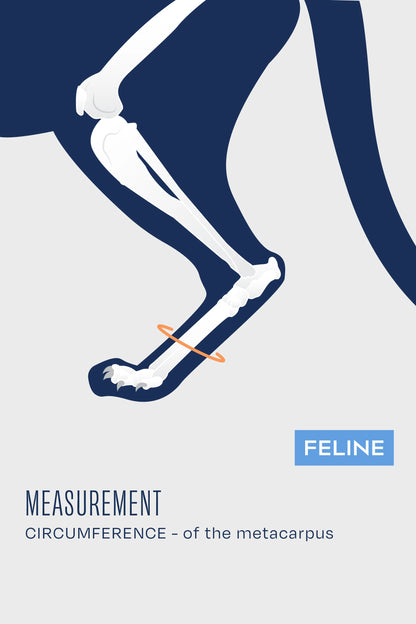 Férula para gatos: férula para la laxitud carpiana y tarsal en felinos