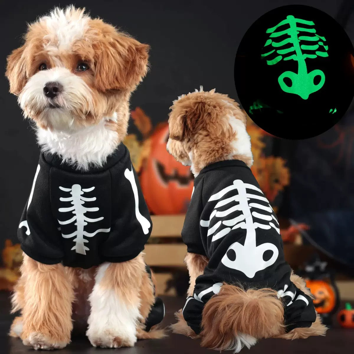 Abrigo esqueleto de halloween para mascotas