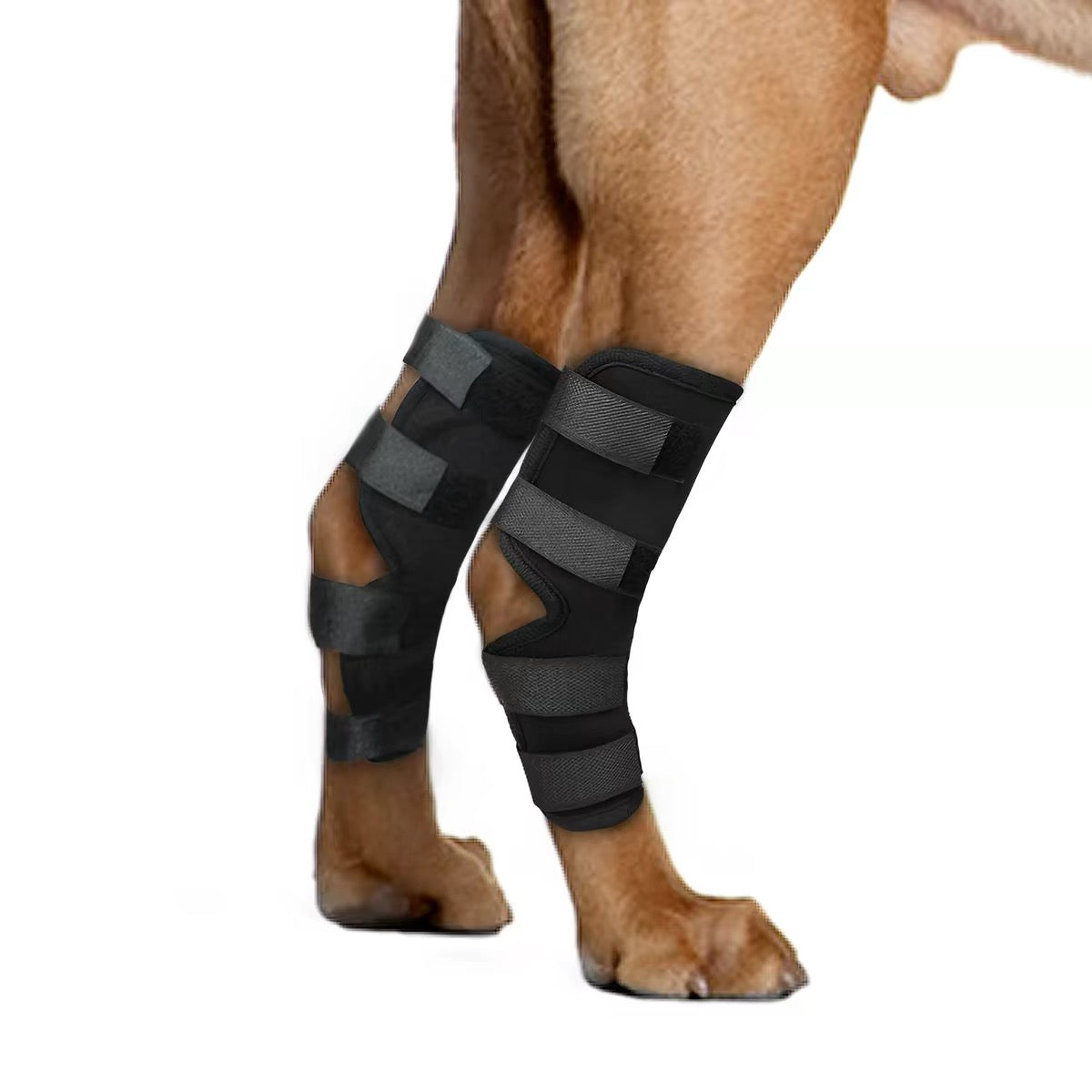 Férula ortopédica ajustable para patas de perro
(Paquete de 2un)