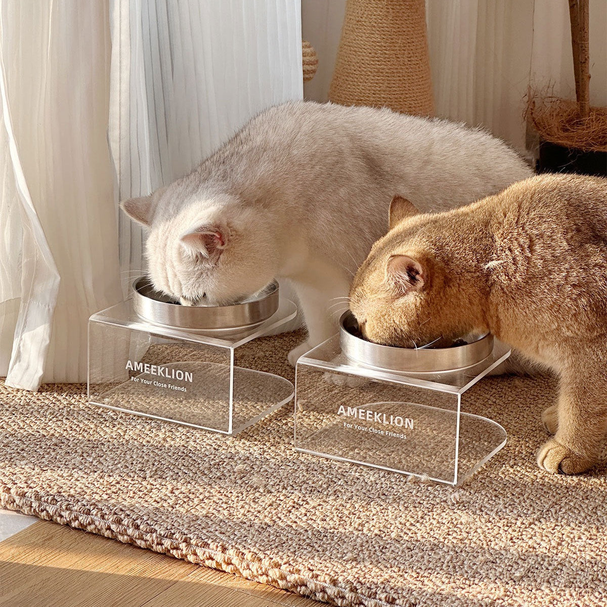 Plato elevado transparente con plato de acero inoxidable