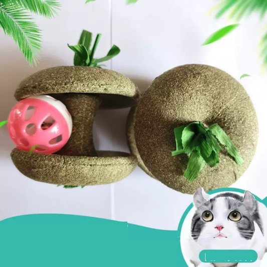 Juguete de gato forma de manzana con Catnip