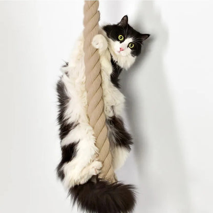 Cuerda de escalada de pared para gatos 1.5M