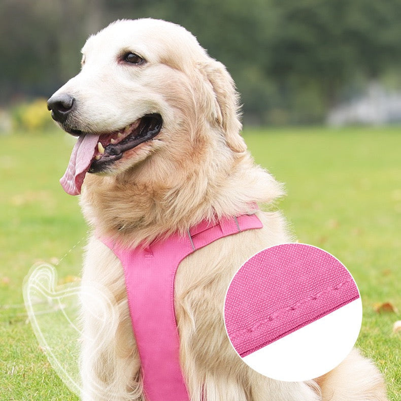 Pechera con correa modelo 429 para perros raza grande