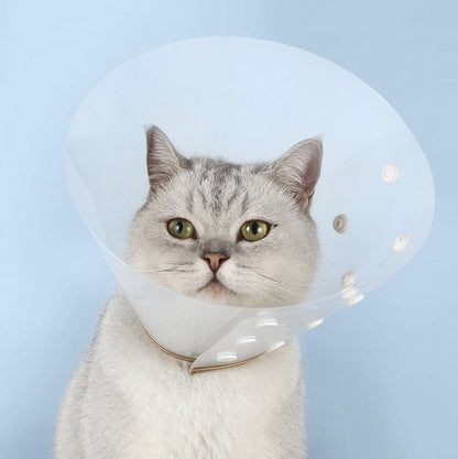 Cono isabelino de plástico para mascotas modelo #CL17