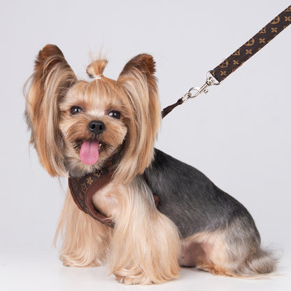Pechera elegante para mascotas raza pequeña