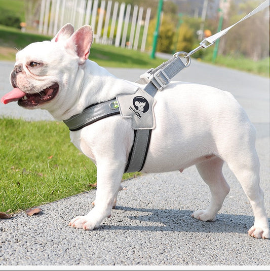 Pechera gris con correa para mascotas  modelo HAR202