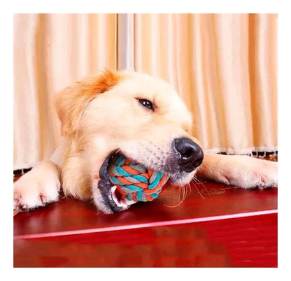 Set de juguetes variados para mascotas 9 pcs
