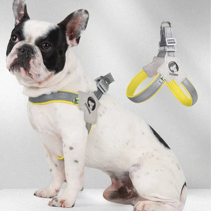 Pechera gris con correa para mascotas  modelo HAR202