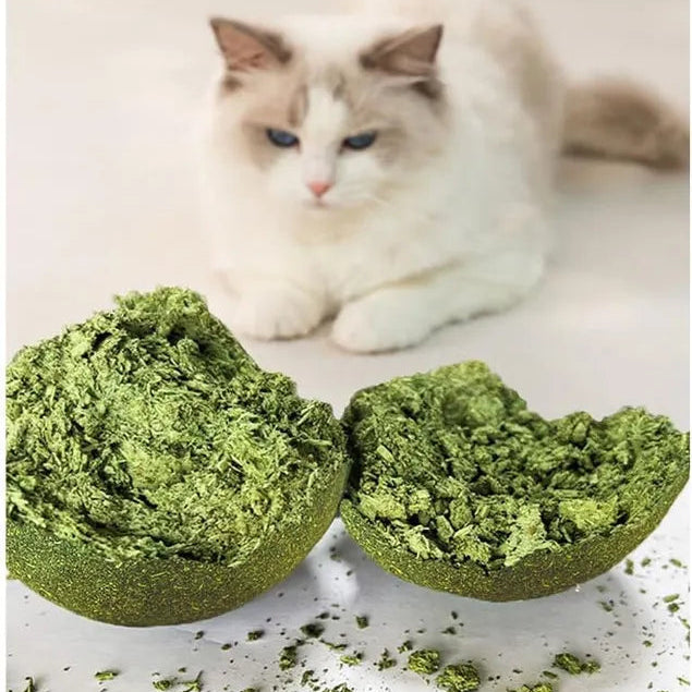 Juguete de Catnip para gatos