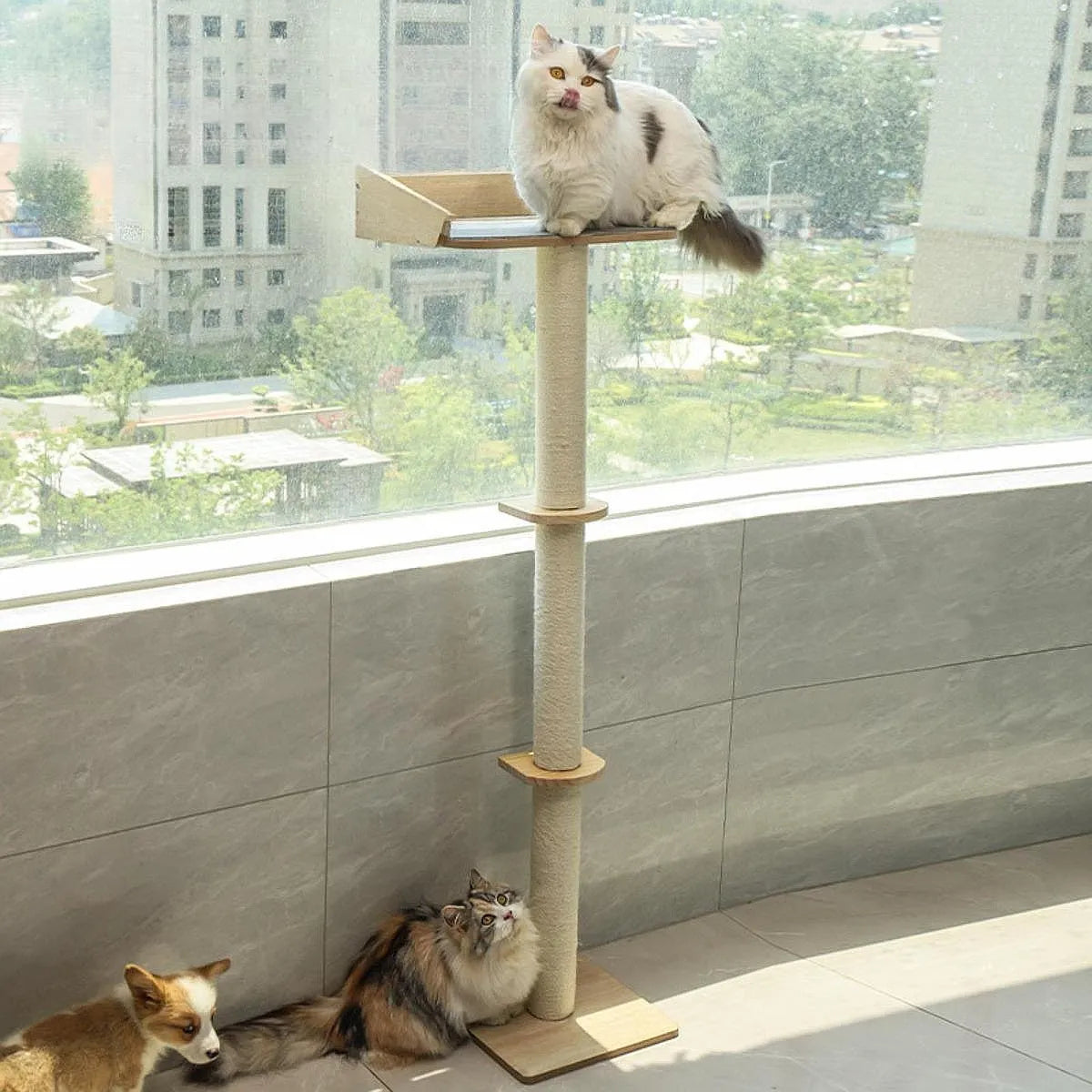 Rascador pilar de cuerda para gatos  134cm de alto TR15