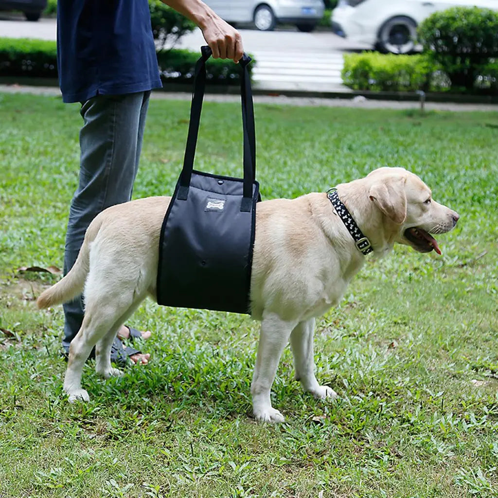 Soporte para perros medianos a grande (Modelo 005)