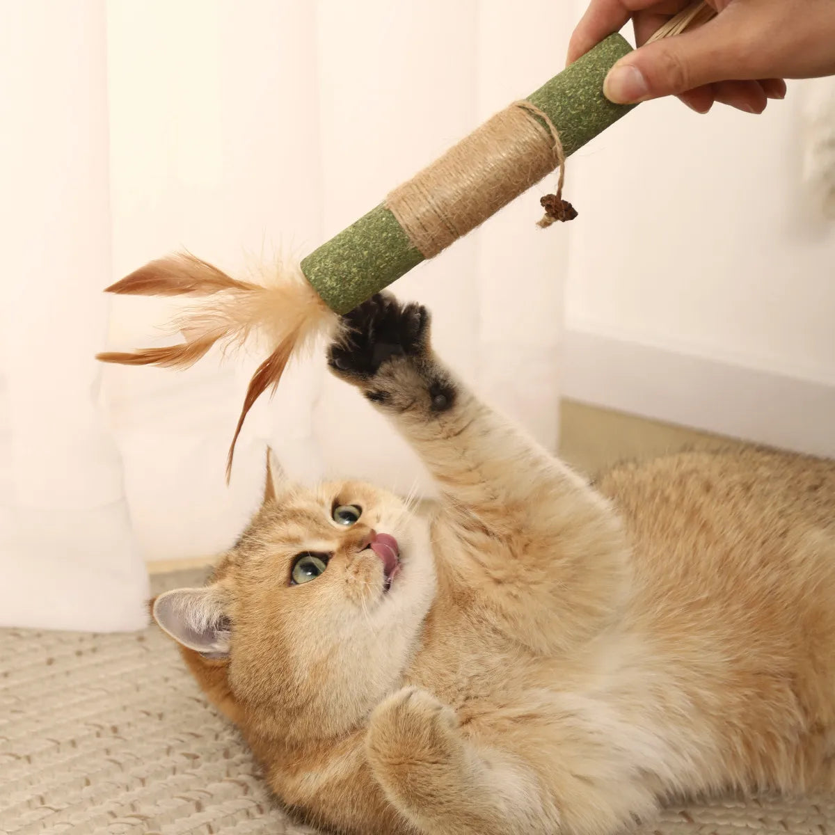 Palito verde de catnip con sisal